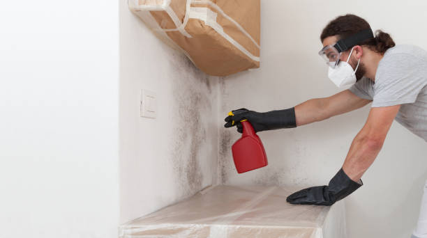 Professional Mold Testing technician working in Bound Brook, NJ