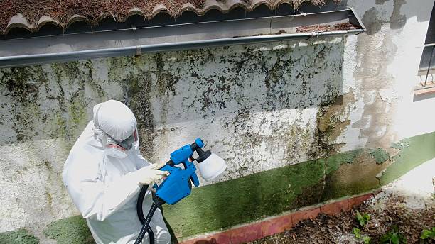 Trusted Mold Testing service in Bound Brook, NJ - Cheap Mold Removal